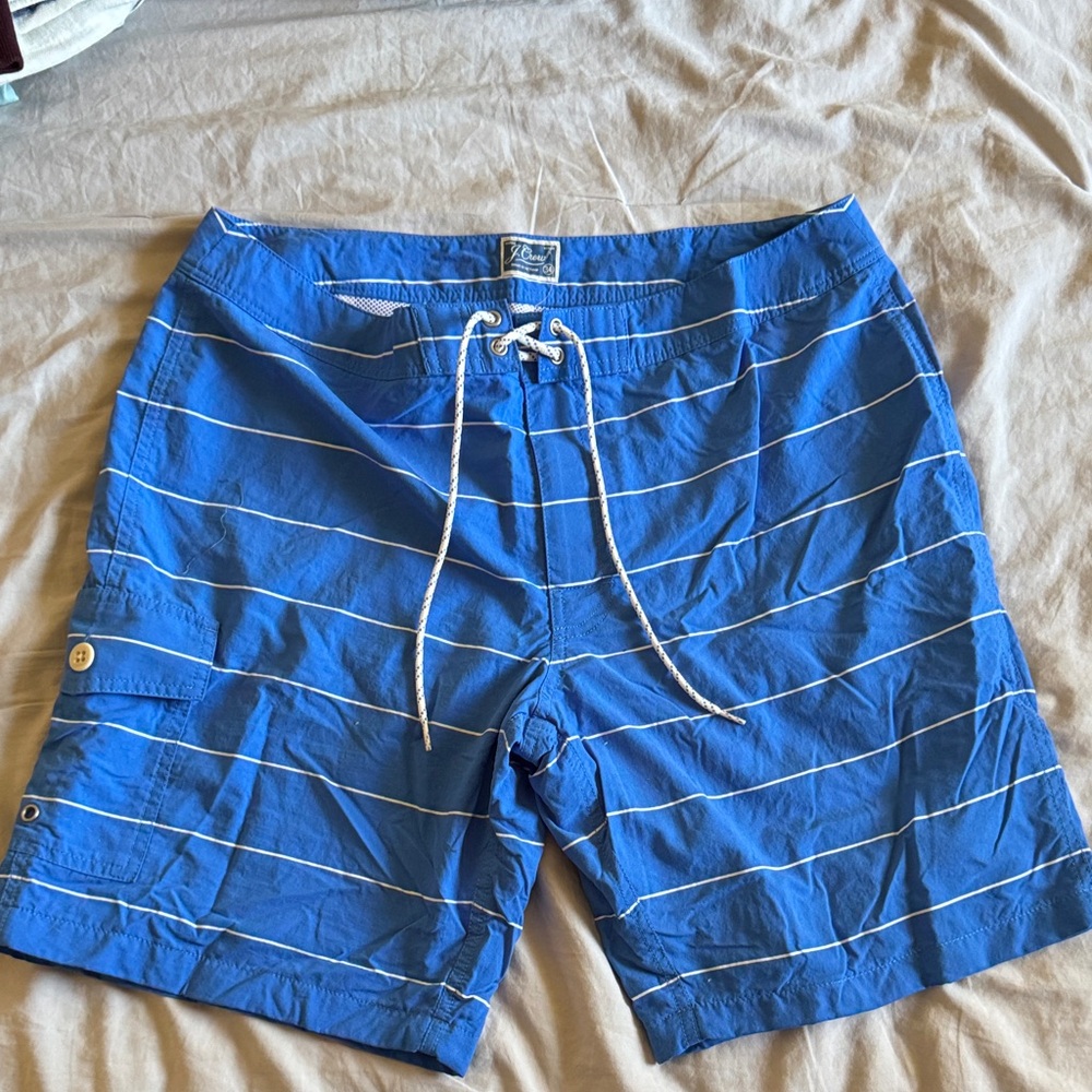 Blue Striped Men's Swim Shorts